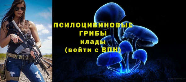 мяу мяу кристалл Алексин