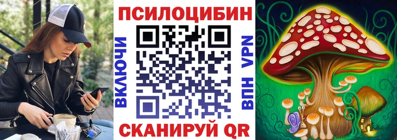 где купить наркоту Пролетарск Псилоцибиновые грибы Cubensis